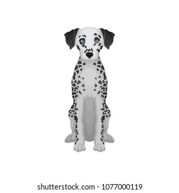 Adorable dalmatian dog with blue eyes and black round spots on body. Detailed flat vector design for promo poster flyer of pet shop
