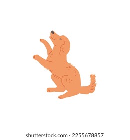 Adorable decorative lap dog or puppy flat cartoon vector illustration isolated on white background. artoon character of lapdog stands on its hind legs.