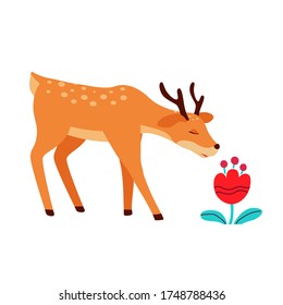 Adorable deer character  
smelling flower. Cute forest animal isolated on white background. Flat cartoon vector illustration. Nursery room decoration element. 