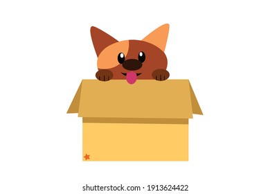 Adorable Dog in the Box