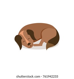 Adorable dog with brown fur and fluffy tail curled up and sleep isolated cartoon flat vector illustration on white background. Domestic animal has rest.