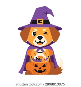 Adorable dog dressed as witch for Halloween with pumpkin bucket and candy