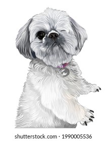 Adorable dog one eye puppy vector art