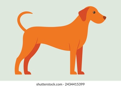 Adorable dog snapshot vector illustration