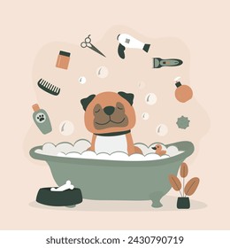 Adorable dog is washing in the bathroom. Grooming. Cute bulldog in bathtub. Various tools for dog grooming. washing pet. can be used for salon logo, banner, poster. modern style vector illustration