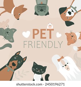 Adorables perros y gatos, Anuncio amigable para mascotas. Cartel de mascotas domésticas permitidas y aceptadas. Animales lindos en el fondo con texto. Ilustración vectorial plana