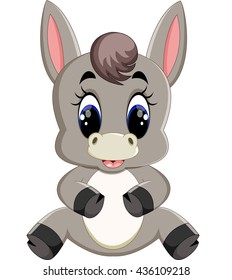 Adorable donkey isolated on white background