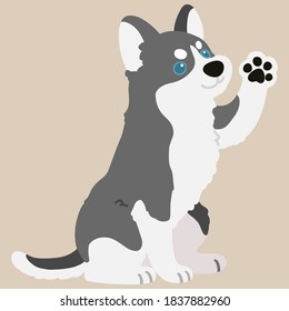 Adorable flat colored grey Husky dog sitting and waving hand illustration