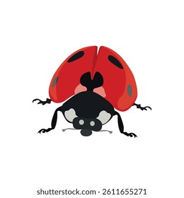Adorable flat design red lady bug in cartoon flat design, vector hand drawn ideal for kids illustrations, educational content, and children’s products of infographic content