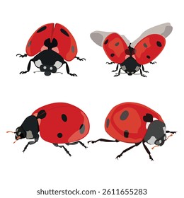 Adorable flat design red lady bug in cartoon flat design, vector hand drawn ideal for kids illustrations, educational content, and children’s products of infographic content
