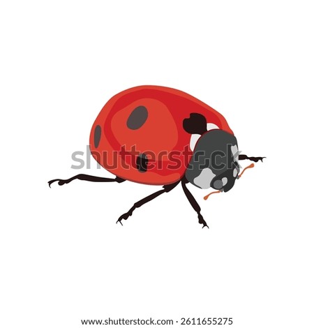Adorable flat design red lady bug in cartoon flat design, vector hand drawn ideal for kids illustrations, educational content, and children’s products of infographic content