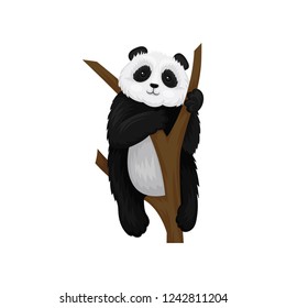 Adorable fluffy panda sitting on brown tree branch. Black and white bamboo bear with cute muzzle. Flat vector icon
