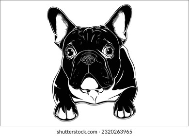 Adorable French Bulldog illustration in EPS format. High-quality, versatile design for commercial use in various projects.
