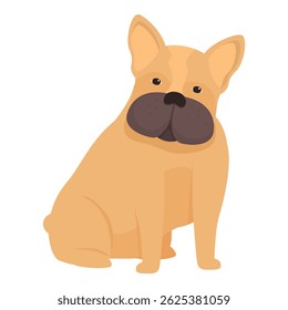 Adorable french bulldog is sitting and looking forward with curiosity