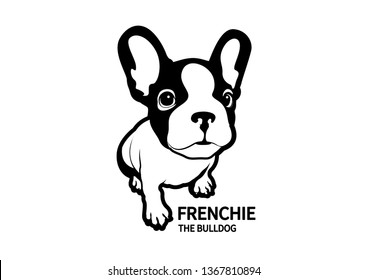 Adorable French Bulldog waiting for his snacks. A cute Frenchie with bunny ears in a black and white logo sits on the floor.