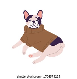 Adorable friendly french bulldog breed wearing knitted sweater lying isolated on white background. Cute domestic animal in funny clothes vector flat illustration. Cartoon dog relaxing in warm jumper