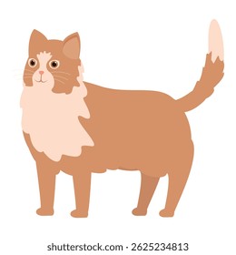 Adorável gato gengibre de pé com cauda levantada, olhando para cima com curiosidade
