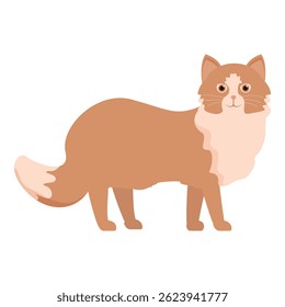 Adorável gato gengibre de pé com a cauda levantada, mostrando sua natureza lúdica e curiosa