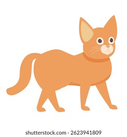 Adorável gato gengibre andando e olhando curioso, perfeito para projetos relacionados a animais de estimação