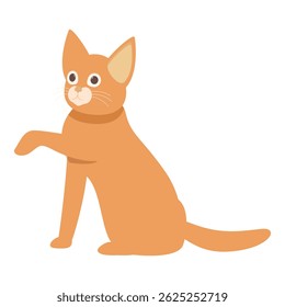 Adorable ginger tabby cat sitting and raising its paw, isolated on a white background