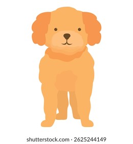Adorável cão doodle dourado de pé com uma expressão feliz