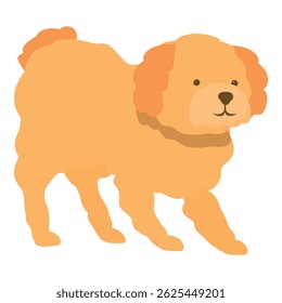 Adorable golden doodle dog walking with a happy expression