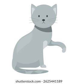 Adorable gray cat sitting and lifting its paw, wearing a collar, in a cute and playful pose