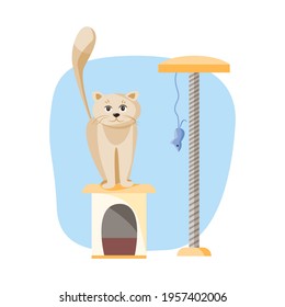 Adorable gray fluffy cat, his house and favorite toy is a mouse. Happy cat is standing on the house.  Cute Cartoon vector illustration