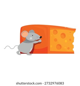 Adorable grey mouse pushing a big triangular piece of orange cheese with holes, isolated on white background