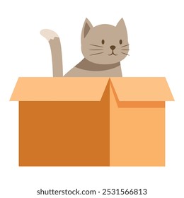 Adorable grey tabby cat sitting inside a cardboard box, isolated on white background