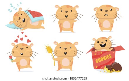 Adorable Hamsterset. Cute lustige Cartoon Hamster schlafend, winkend hallo, geben Blume in Liebe, essen Kekse in Kiste. Vektorgrafik für Tiere, Haustiere, Nagetierkonzept