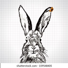 Adorable hand drawn rabbit with vector butterfly illustration