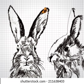 Adorable hand drawn rabbit with vector butterfly illustration