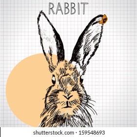 Adorable hand-drawn rabbit with yellow butterfly