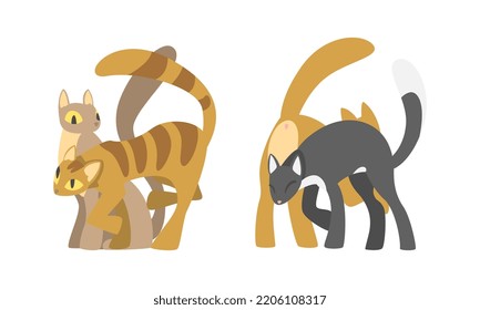 Adorable hugging cats pet animals set cartoon vector illustration