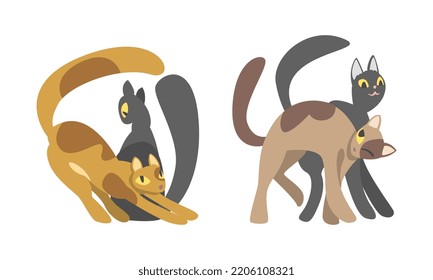 Adorable Hugging Cats Set. Couples Of Cute Brown And Black Pet Cats Cartoon Vector Illustration