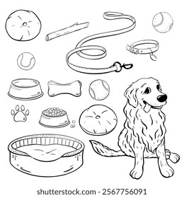 An adorable illustration featuring a cute dog along with a variety of pet accessories. Vector sketch illustration. Pet shop