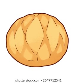 Adorable illustration of a round bread roll, resembling melon pan or sweet bun. Suitable for bakery themes, food illustrations, and cafe menus.