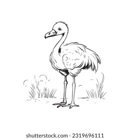 adorable kawaii flamingo simple drawing for little child