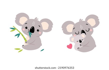 Adorable Koala Arboreal Australian Animal with Round Ears Chewing Eucalypt and Embracing Baby Vector Set