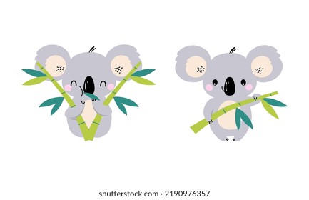 Adorable Koala Arboreal Australian Animal with Round Ears Sitting with Eucalypt Branch Vector Set