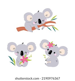 Adorable Koala Arboreal Australian Animal with Round Ears Sleeping on Eucalypt Tree Vector Set