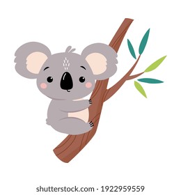 Adorable Koala Sitting on Eucalyptus Tree, Lovely Australian Animal Cartoon Character Vector Illustration