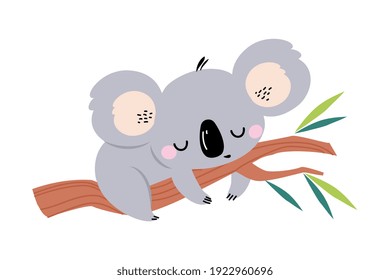 Adorable Koala Sleeping on Tree Branch, Lovely Australian Animal Cartoon Character Vector Illustration