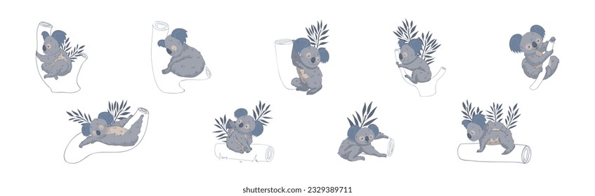 Adorable Koala in Various Pose with Tree Trunk Vector Set