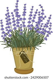 Adorable Lavendel Blumen Pflanze in Topf handgezeichnetes Element Clipart Vektor-Illustration für Dekoration Einladung Gruß Geburtstagsfeier Hochzeit Karte Plakat Banner Hintergrund