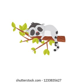Adorable lemur sleeping on tree branch. Exotic animal with long striped tail. Flat vector icon
