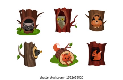 Adorable Little Birds And Animals Hidden In The Hollows Of Trees In A Park Or Forest Vector Illustration Set Isolated On White Background