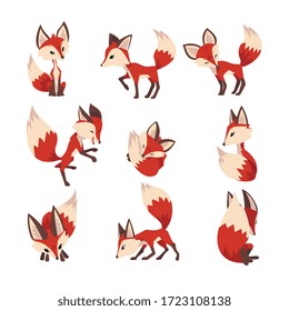 Adorable Little Fox Collection, Cute Fluffy Wild Forest Animal Cartoon Character in Various Poses Vector Illustration