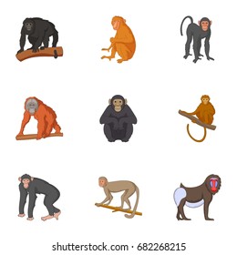 Adorable monkeys icons set. Cartoon set of 9 adorable monkeys vector icons for web isolated on white background